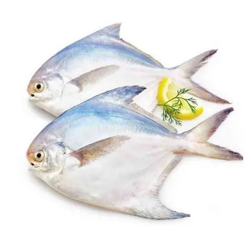 Rupchada Fish 3-4 Pcs 1Kg
