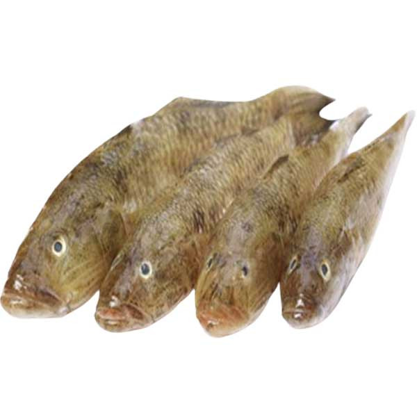 Baila Fish medium Per 1kg