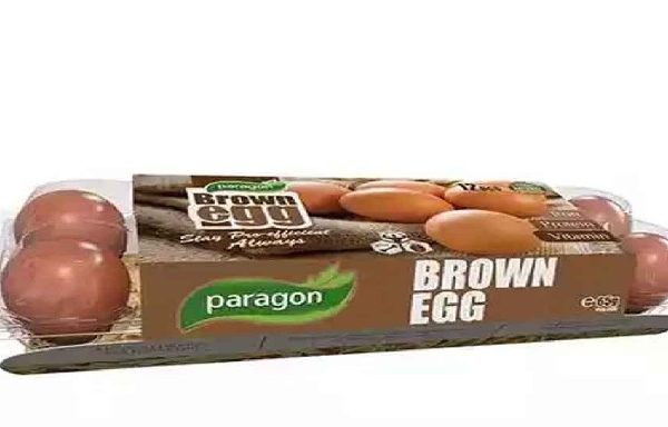 Paragon Brown Egg 12pcs (Box)