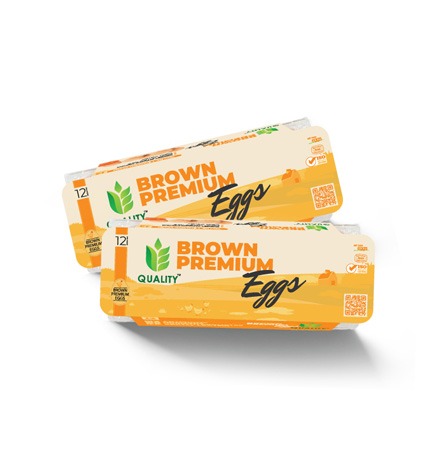 Quality Brown Egg 12pcs
