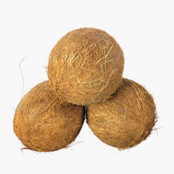 Fruits Narikel Coconut Per Pcs