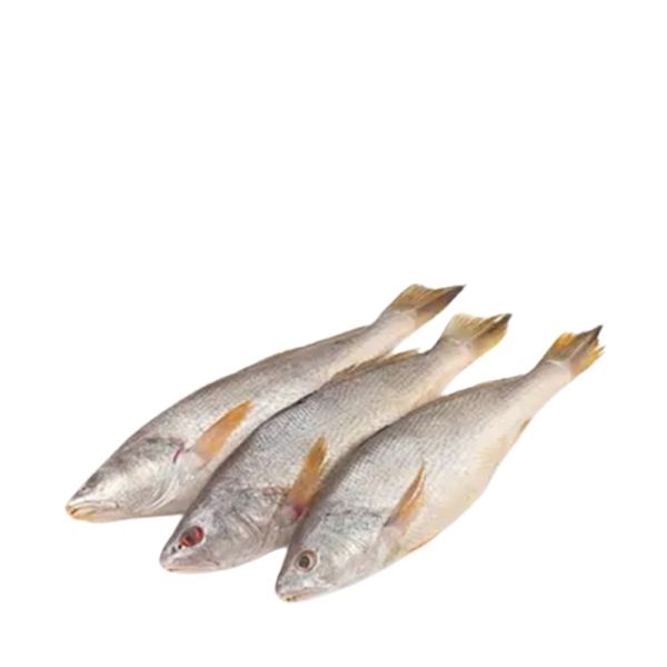 Fish Poa River Big Per Kg