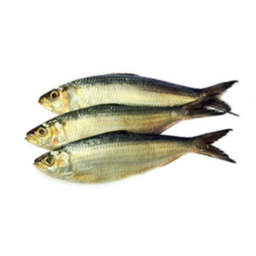 Fish Sea Chapila Per kg